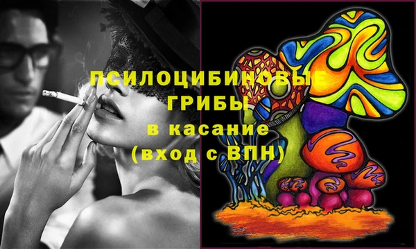 дмт Богородск