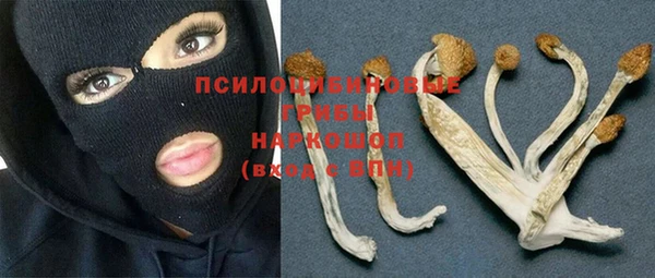 круглые Богородицк