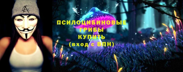 дмт Богородск